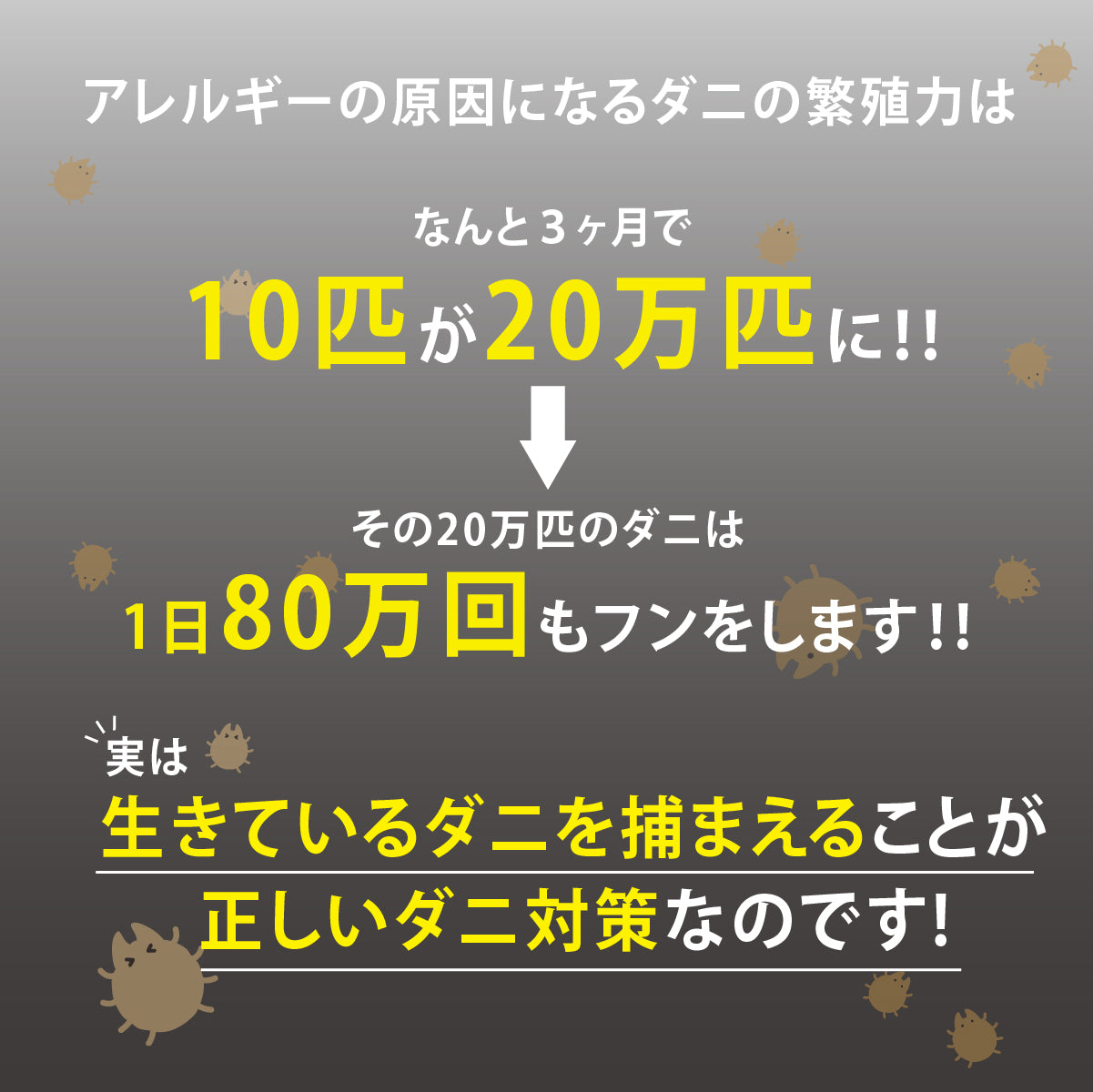 ダニピット