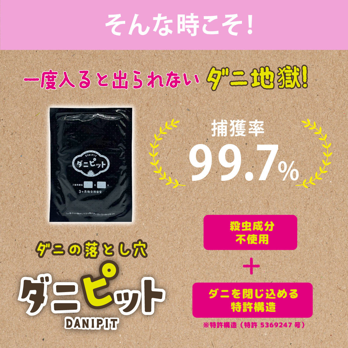 ダニピット