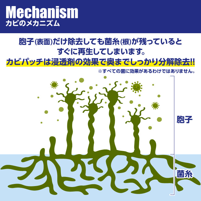 浸透カビパッチプレミアム